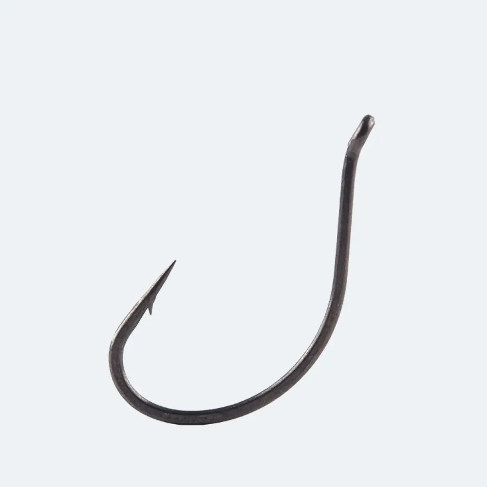 BKK DSS-WORM