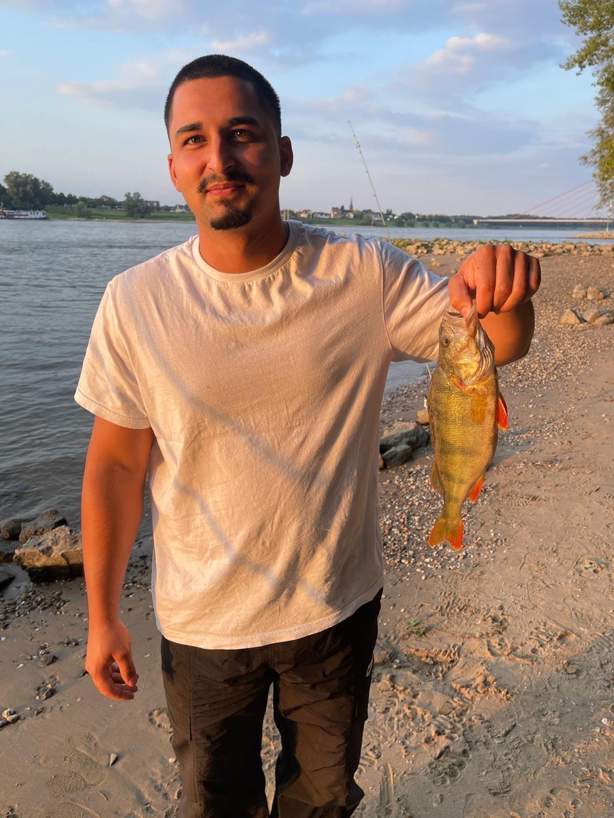 Angler hält kleinen Barsch am Rhein in der Abendsonne
