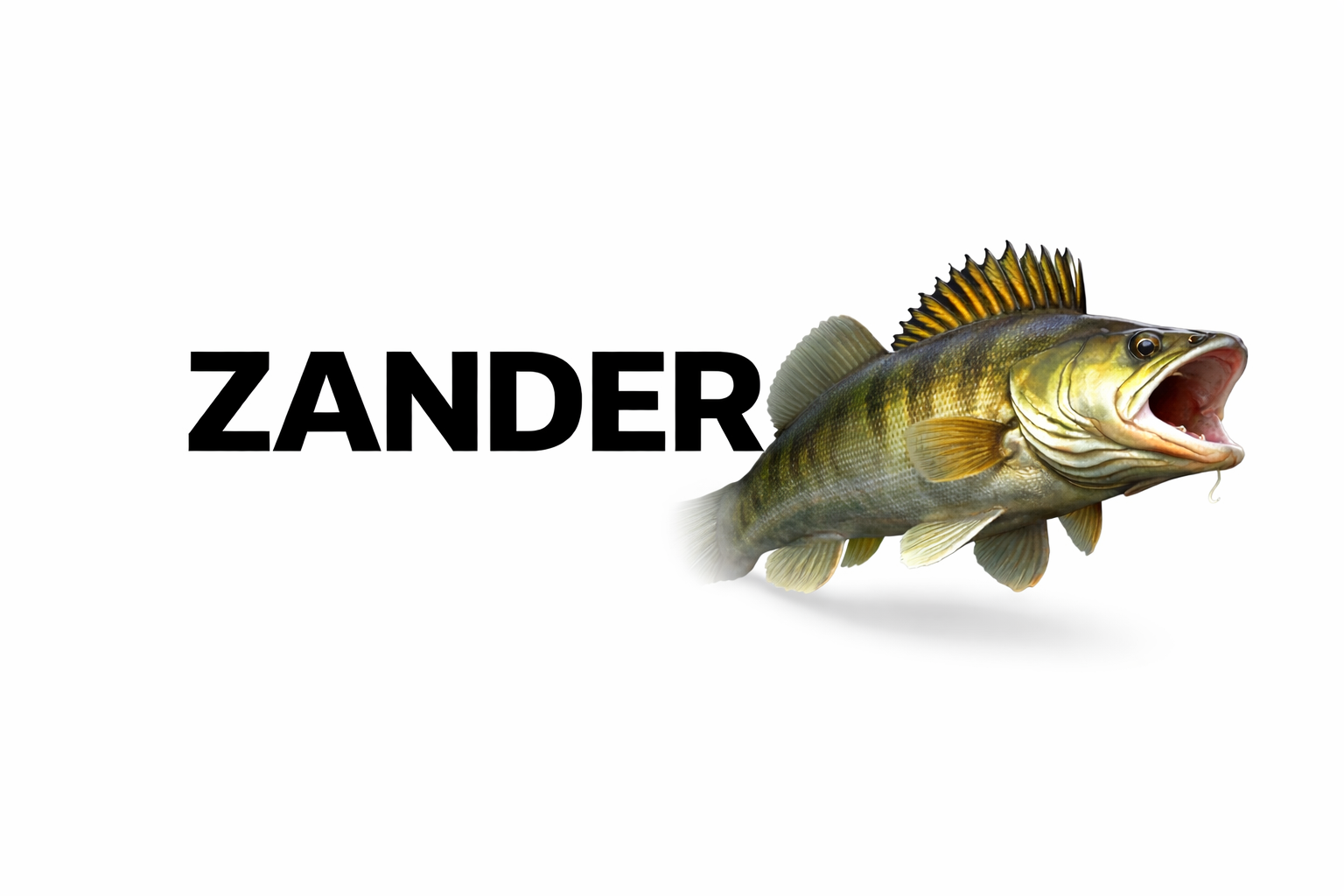 ZANDER