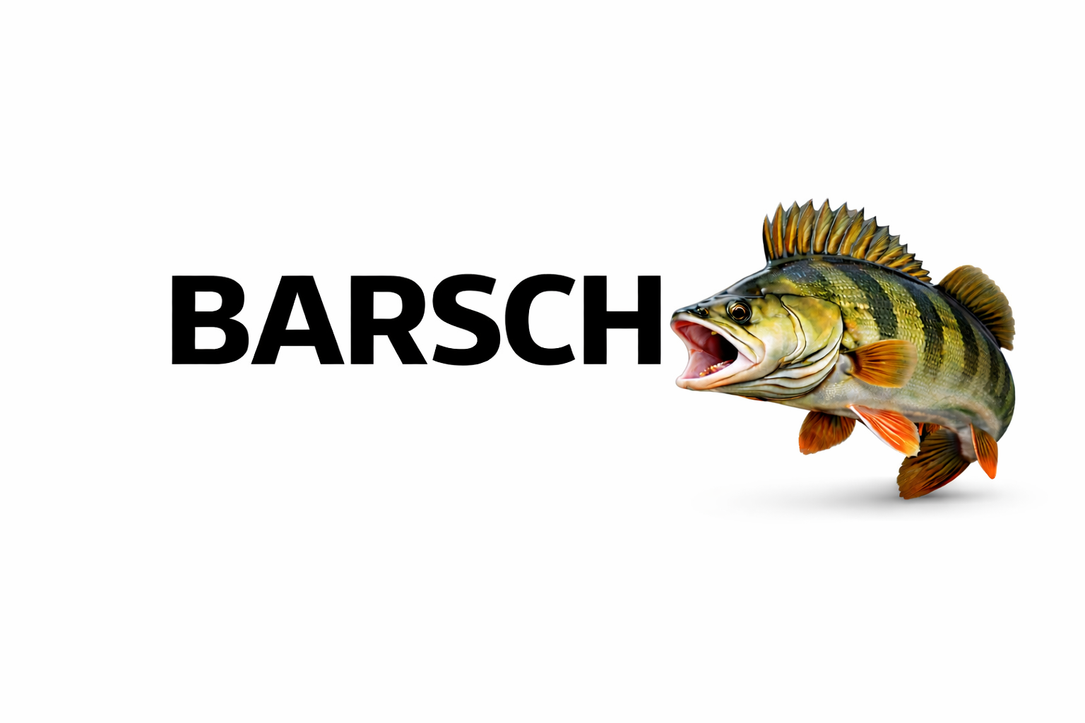 BARSCH